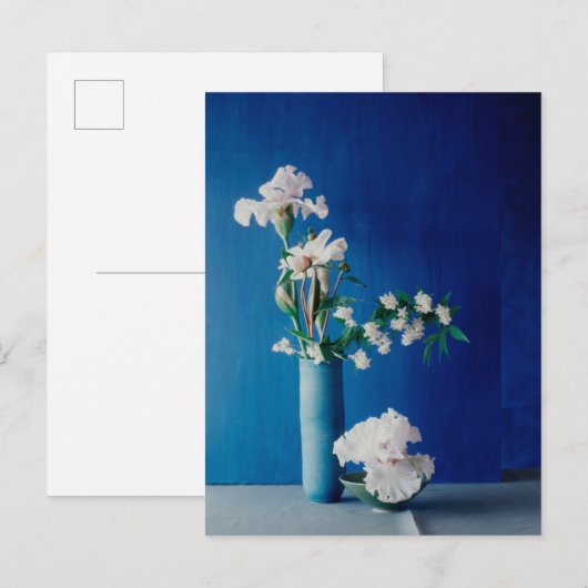 Flowers | White Iris in Vase Briefkaart (Voorkant / Achterkant)