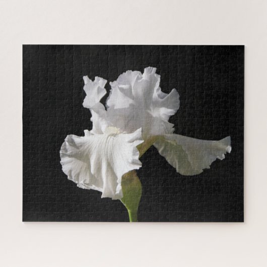 Flowers | White Iris Legpuzzel (Horizontaal)