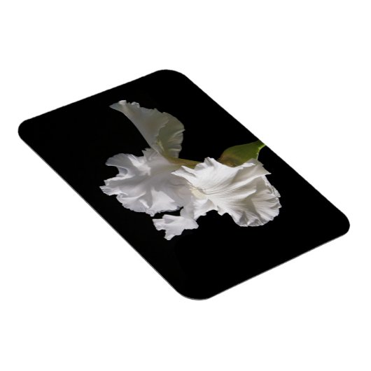 Flowers | White Iris Magneet (Rechterzijde)