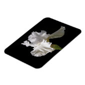 Flowers | White Iris Magneet (Linkerzijde)