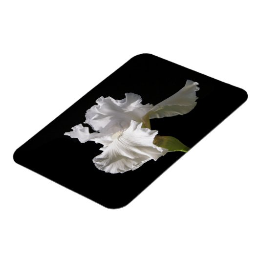 Flowers | White Iris Magneet (Linkerzijde)