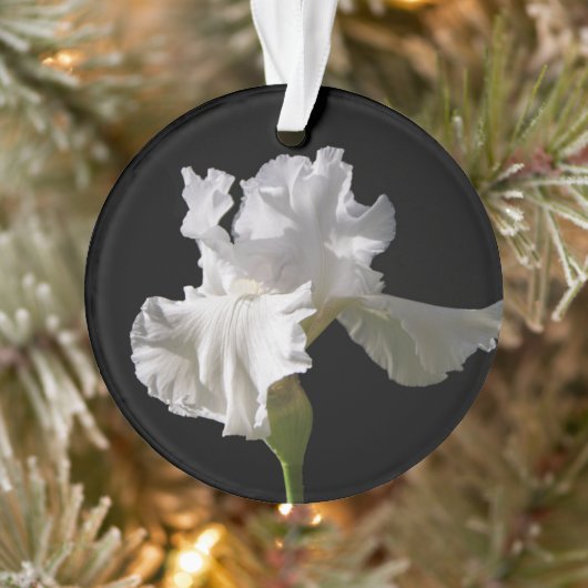 Flowers | White Iris Ornament (Boom)