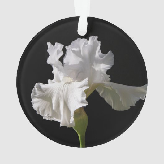 Flowers | White Iris Ornament (achterkant)