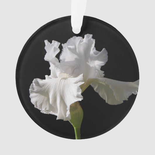 Flowers | White Iris Ornament (voorkant)
