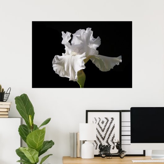 Flowers | White Iris Poster (Thuiskantoor)
