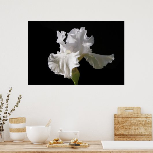 Flowers | White Iris Poster (Keuken)