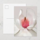 Flowers | White Magnolia Briefkaart (Voorkant / Achterkant)