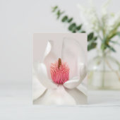 Flowers | White Magnolia Briefkaart (Staand voorkant)