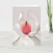 Flowers | White Magnolia Kaart (Voorkant)