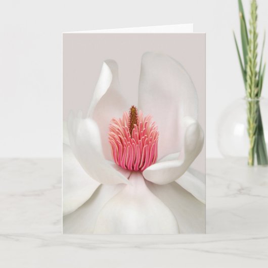 Flowers | White Magnolia Kaart (Voorkant)