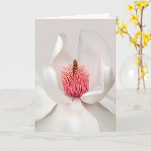 Flowers | White Magnolia Kaart (Gele Bloem)