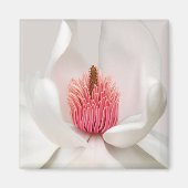 Flowers | White Magnolia Magneet (Voorkant)