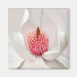 Flowers   White Magnolia Magneet