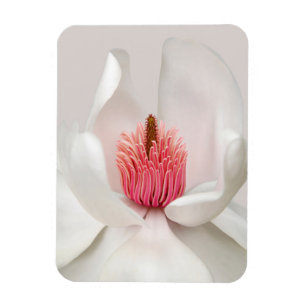 Flowers White Magnolia Magneet