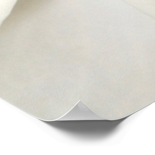 Flowers | White Magnolia Poster (Hoek)