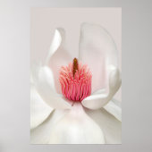 Flowers | White Magnolia Poster (Voorkant)
