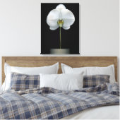 Flowers | White Orchid Flower Canvas Afdruk (Insitu (Slaapkamer))