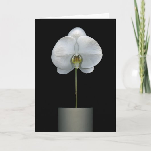 Flowers | White Orchid Flower Kaart (Voorkant)