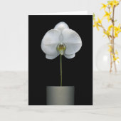 Flowers | White Orchid Flower Kaart (Gele Bloem)