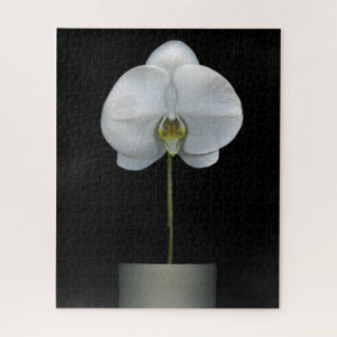 Flowers White Orchid Flower Legpuzzel