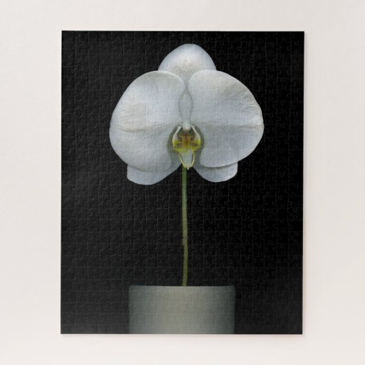 Flowers | White Orchid Flower Legpuzzel (Verticaal)