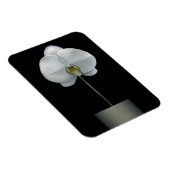 Flowers | White Orchid Flower Magneet (Rechterzijde)