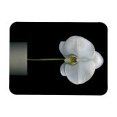 Flowers | White Orchid Flower Magneet (Horizontaal)