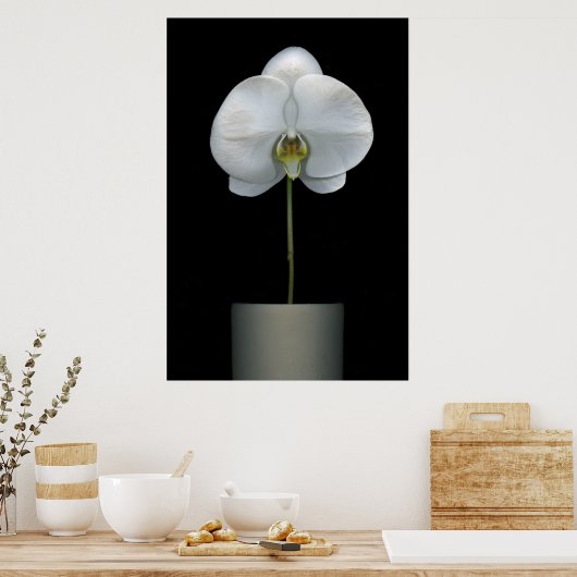 Flowers | White Orchid Flower Poster (Keuken)