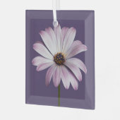 Flowers White & Purple Daisy Glas Ornament (Voorkant links)