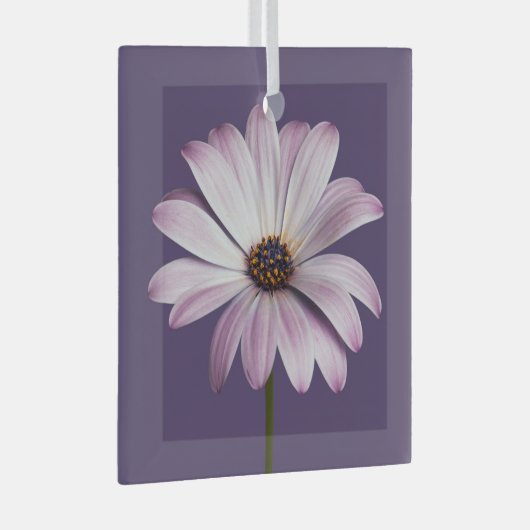 Flowers White & Purple Daisy Glas Ornament (Voorkant Rechts)