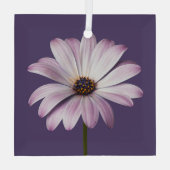 Flowers White & Purple Daisy Glas Ornament (Achterkant)