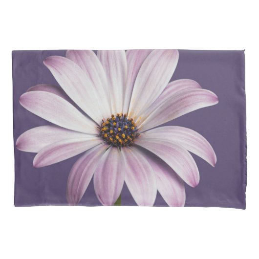 Flowers | White & Purple Daisy Kussensloop (Voorkant)