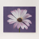 Flowers White & Purple Daisy Legpuzzel (Horizontaal)