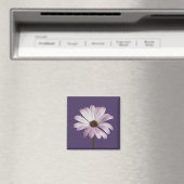 Flowers White & Purple Daisy Magneet (Insitu (Vaatwasser))