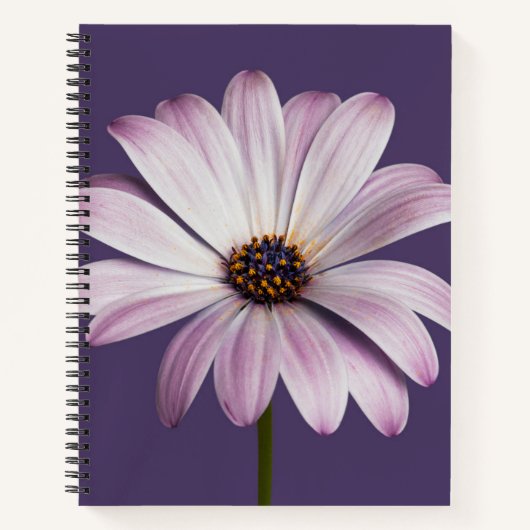 Flowers White & Purple Daisy Notitieboek (Voorkant)