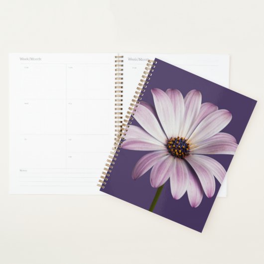 Flowers White & Purple Daisy Planner (Display)