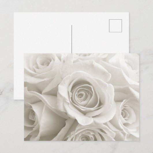 Flowers | White Roses Briefkaart (Voorkant / Achterkant)