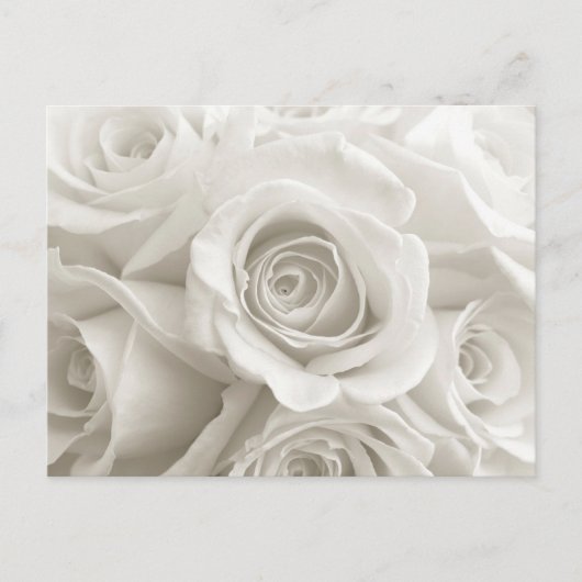 Flowers | White Roses Briefkaart (Voorkant)