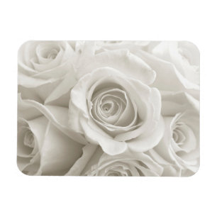 Flowers   White Roses Magneet