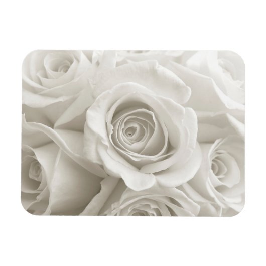 Flowers | White Roses Magneet (Horizontaal)