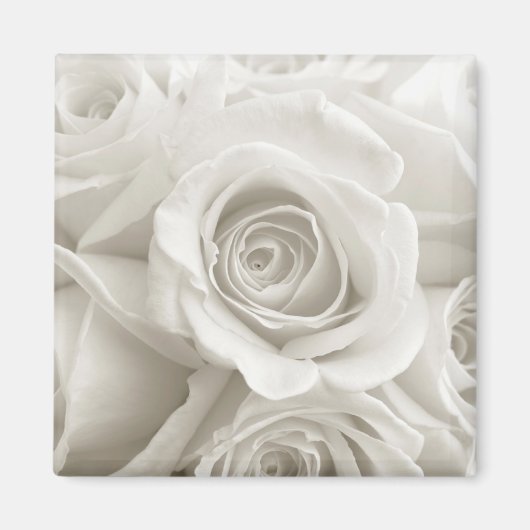 Flowers | White Roses Magneet (Voorkant)
