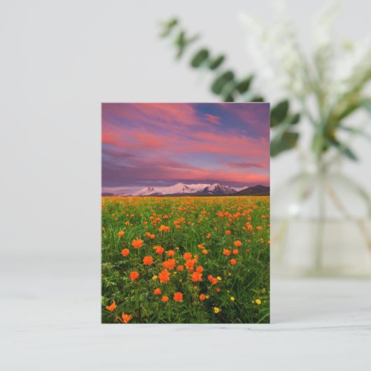 Flowers Wildflower Field Snowcapped Mountains Briefkaart (Staand voorkant)