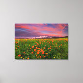 Flowers Wildflower Field Snowcapped Mountains Canvas Afdruk (Voorkant)