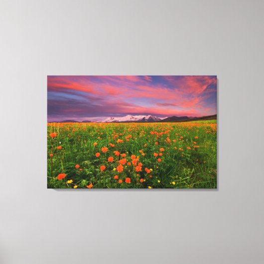Flowers Wildflower Field Snowcapped Mountains Canvas Afdruk (Voorkant)
