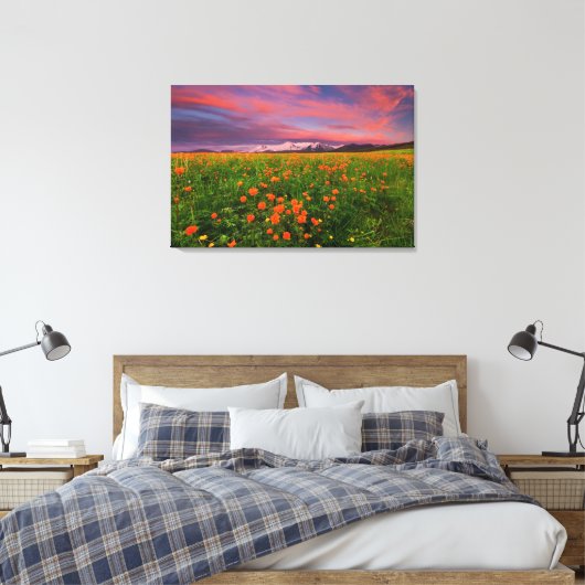 Flowers Wildflower Field Snowcapped Mountains Canvas Afdruk (Insitu (Slaapkamer))
