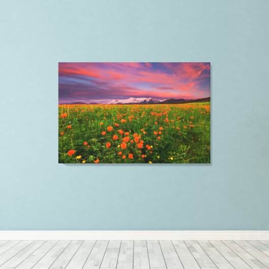 Flowers Wildflower Field Snowcapped Mountains Canvas Afdruk (Insitu (Houten vloer))