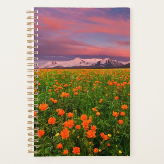Flowers Wildflower Field Snowcapped Mountains Planner (Voorkant)
