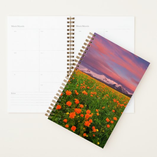 Flowers Wildflower Field Snowcapped Mountains Planner (Display)