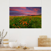Flowers Wildflower Field Snowcapped Mountains Poster (Keuken)