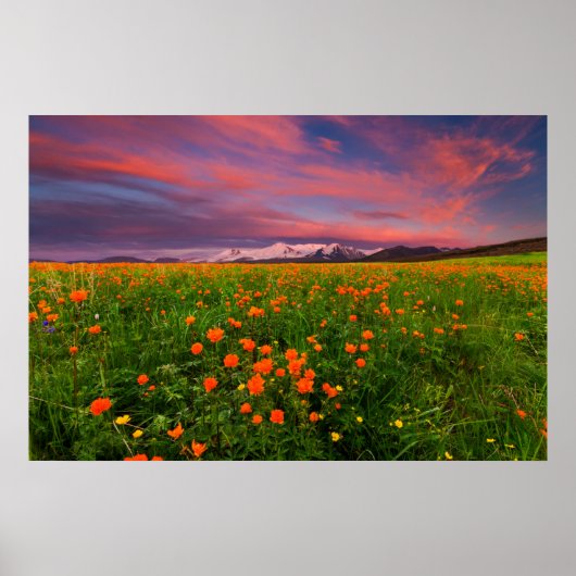 Flowers Wildflower Field Snowcapped Mountains Poster (Voorkant)